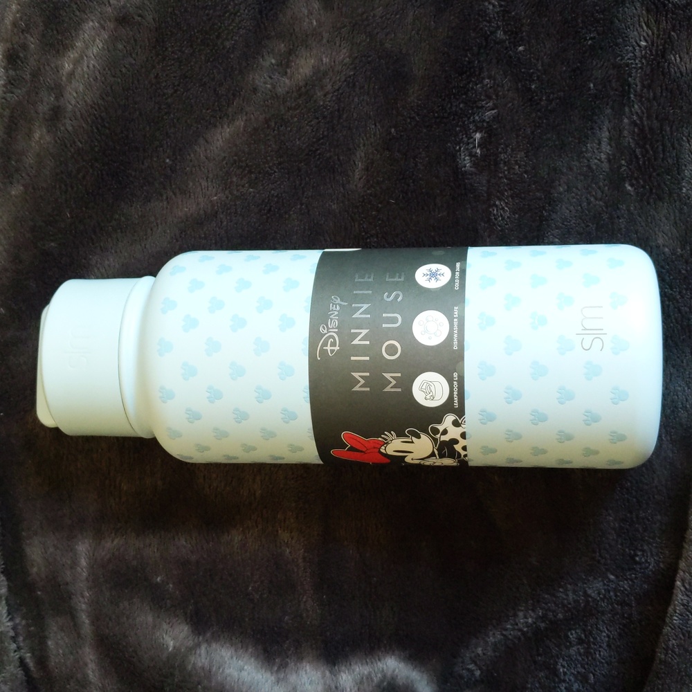 Simple Modern Minnie Mouse 32oz Summit